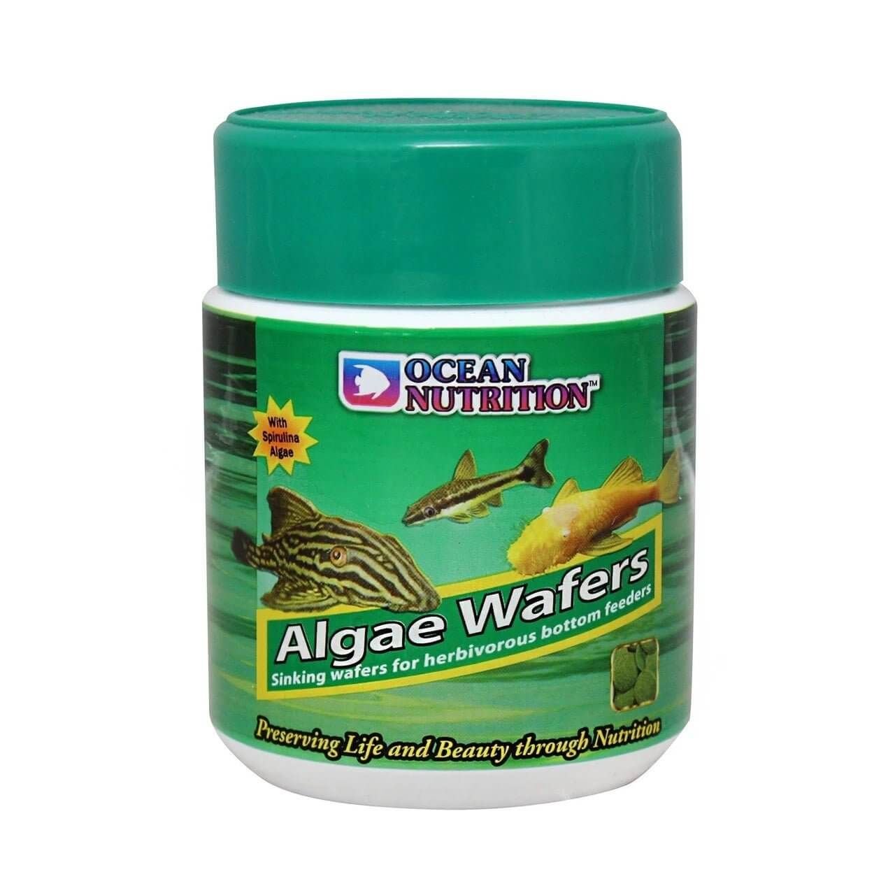Ocean Nutrition Algae Wafers